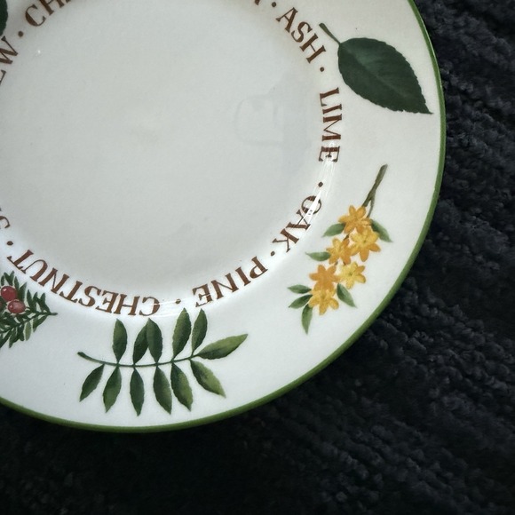 The‎ National Trust ENGLISH TREES 8.25" Plate Salad Dessert Fauna Nature Forest - Picture 3 of 6